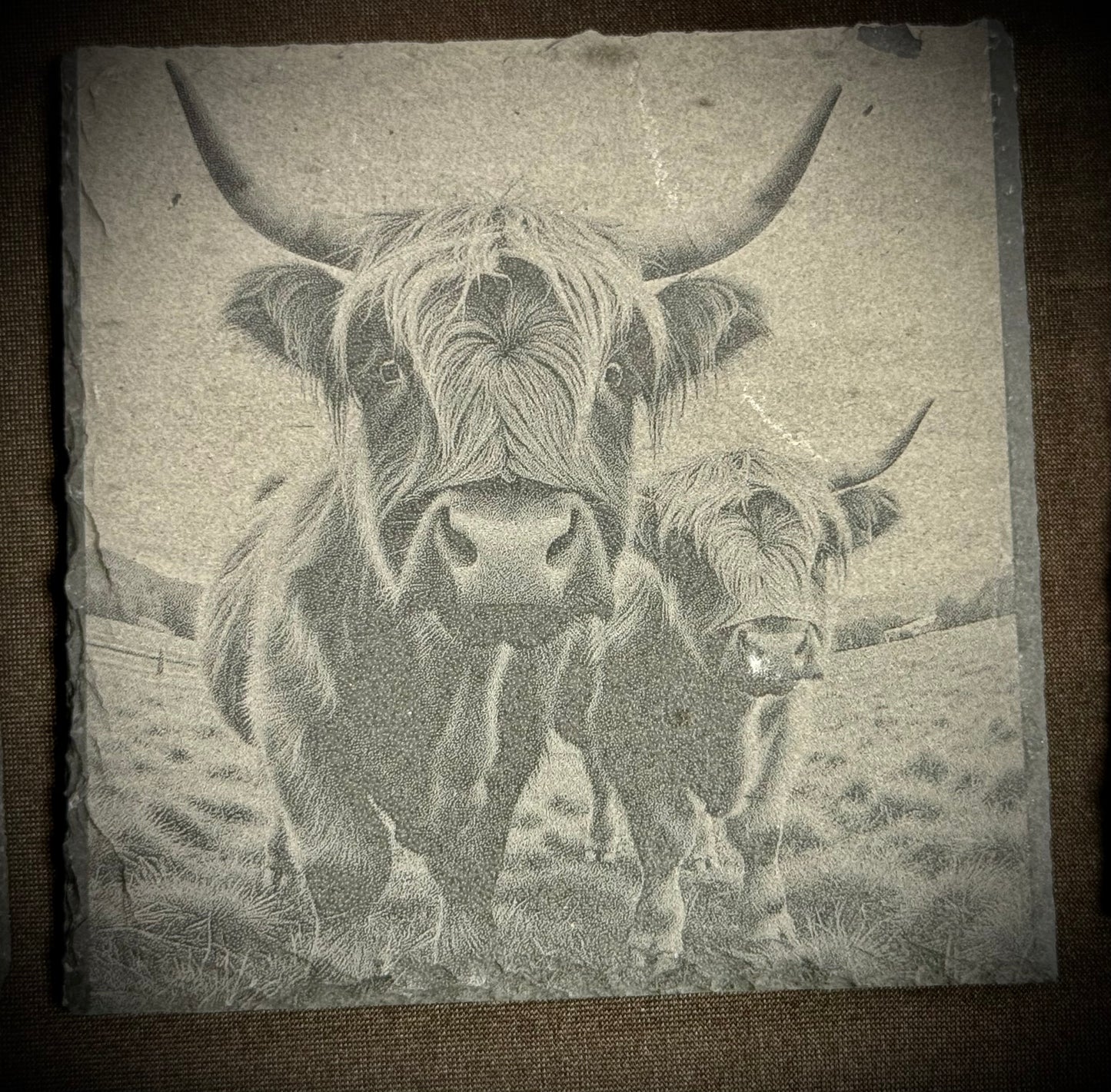 Highland Cow Curious Duo Slate Coaster