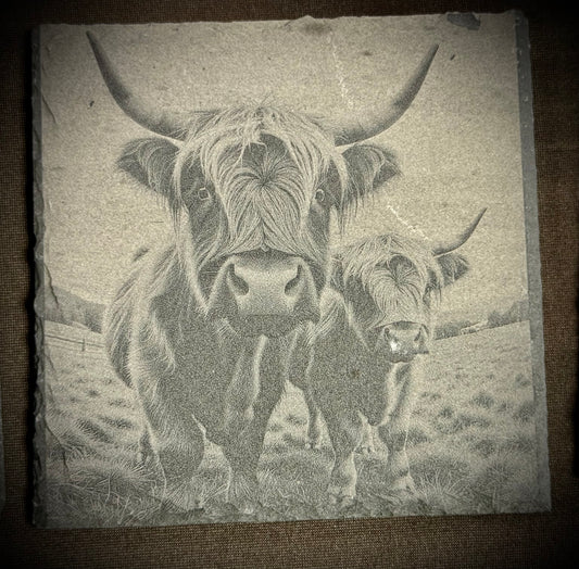 Highland Cow Curious Duo Slate Coaster